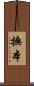 撫本 Scroll