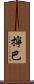 擰巴 Scroll