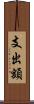 支出額 Scroll