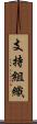 支持組織 Scroll