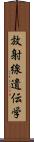 放射線遺伝学 Scroll