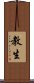 Kyousei / Kyōsei Scroll