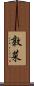 敦菜 Scroll