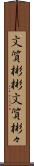 文質彬彬 Scroll