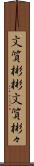 文質彬彬 Scroll