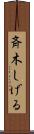 斉木しげる Scroll
