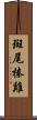 斑尾榛雞 Scroll