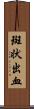 斑状出血 Scroll