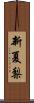 新夏梨 Scroll
