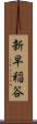 新早稲谷 Scroll