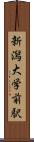 新潟大学前駅 Scroll