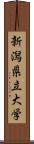 新潟県立大学 Scroll