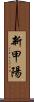 新甲陽 Scroll