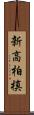 新高柏槙 Scroll