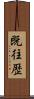 既往歴 Scroll