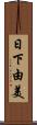 日下由美 Scroll