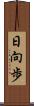 日向歩 Scroll