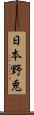 日本野兎 Scroll