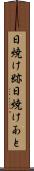 日焼け跡 Scroll