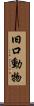 旧口動物 Scroll