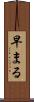 早まる Scroll