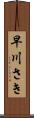 早川さき Scroll