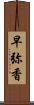 早弥香 Scroll