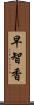 早智香 Scroll