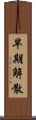 早期解散 Scroll