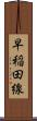早稲田線 Scroll