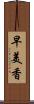 早美香 Scroll