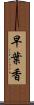 早葉香 Scroll