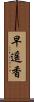 早遥香 Scroll