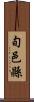 旬邑縣 Scroll