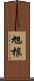 旭根 Scroll