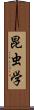 昆虫学 Scroll