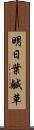 明日葉 Scroll