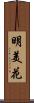 明美花 Scroll