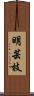 明芸枝 Scroll