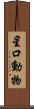 星口動物 Scroll