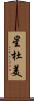 星杜美 Scroll