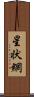星状網 Scroll