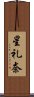 星礼奈 Scroll