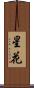 星花 Scroll