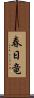 春日竜 Scroll