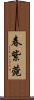 春紫菀 Scroll