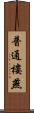 普通樓燕 Scroll
