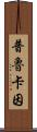 普魯卡因 Scroll