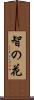 智の花 Scroll