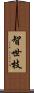 智世枝 Scroll